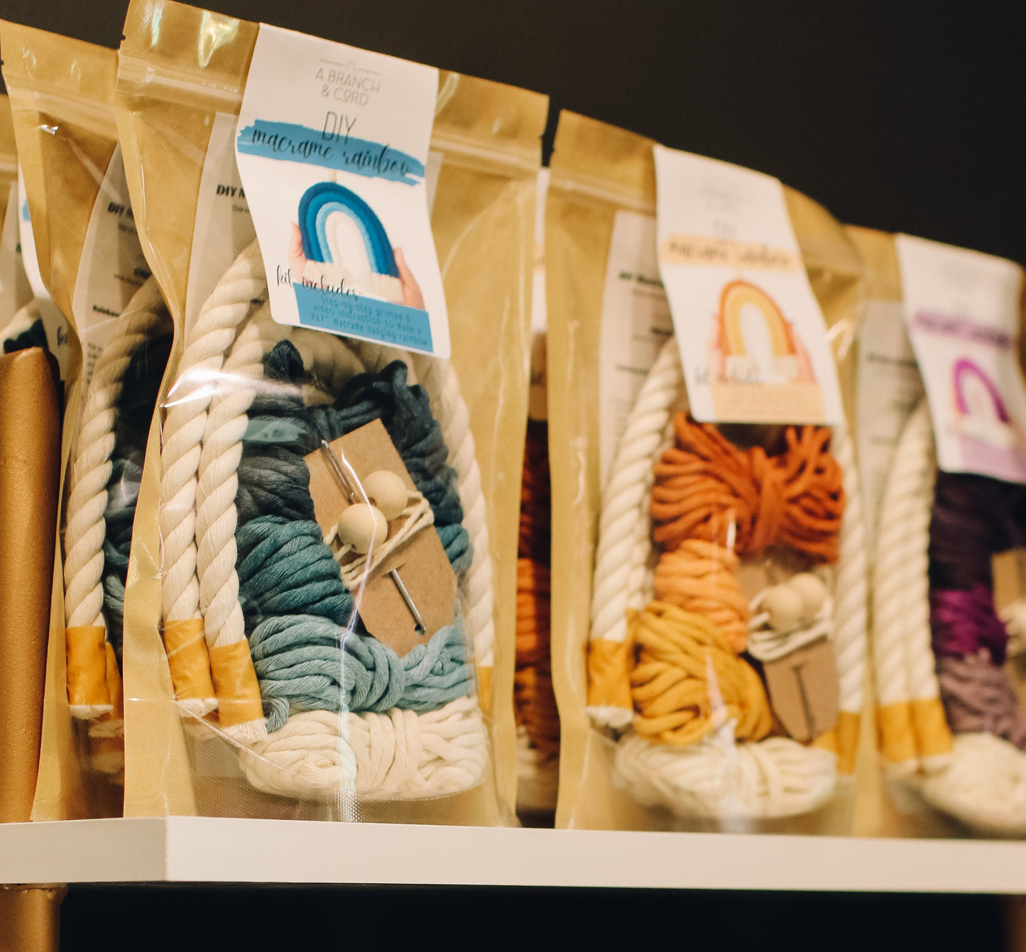 DIY Macrame Rainbow Kit from A Branch and Cord